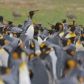 google penguin changes coming google penguin changes coming