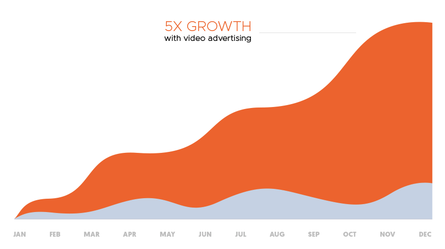 Singlegrain achieved 5x growth with Video Advertising