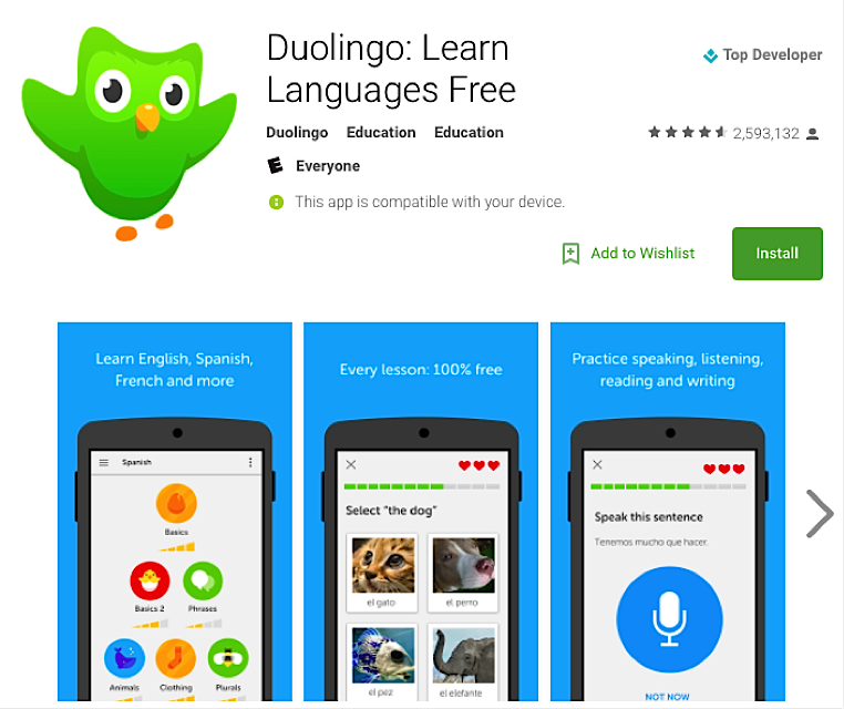 Duolingo учим. Приложение диалинго. Дуолинго Интерфейс. Интерфейс приложения Дуолинго.