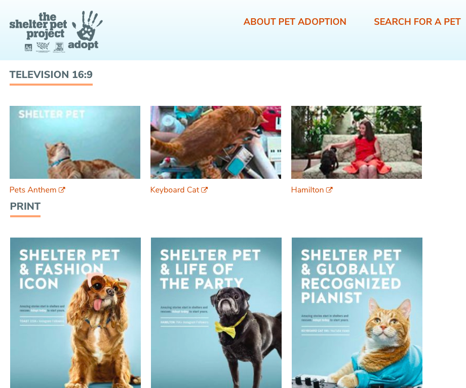 The Shelter Pet Project campaign