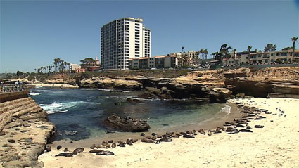 la jolla singles & personals La jolla singles - do you want to learn how to flirt online dating is the best way to do it, become member on this dating site and start flirting with other members. la jolla singles & personals La jolla singles - do you want to learn how to flirt online dating is the best way to do it, become member on this dating site and start flirting with other members.