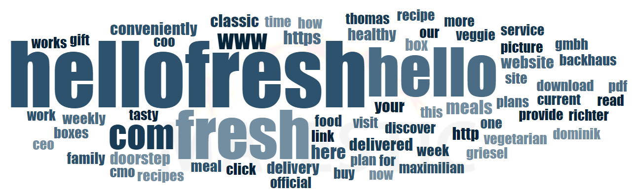 17 HelloFresh Word Cloud