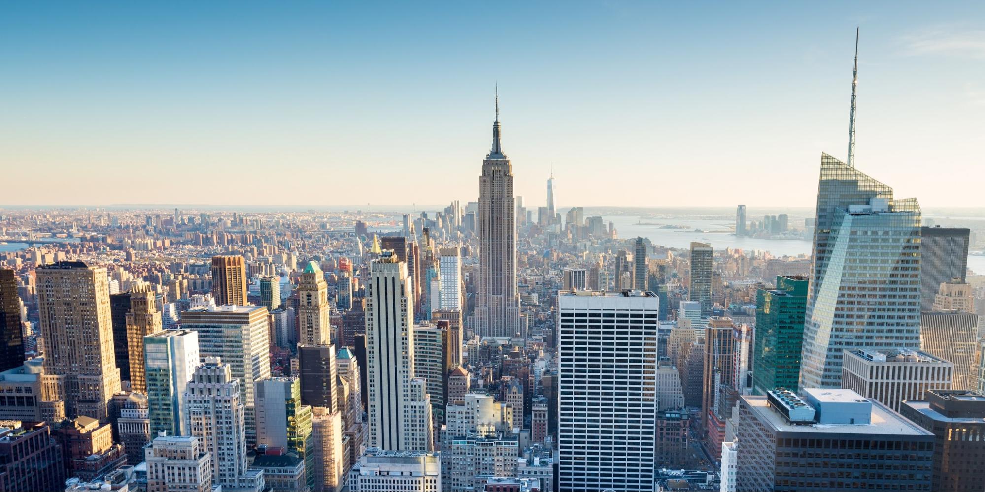 New York SEO Agency | NYC SEO - Single Grain