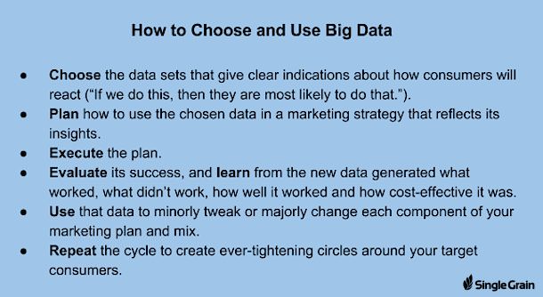 Single Grain_How to Choose and Use Big Data logo