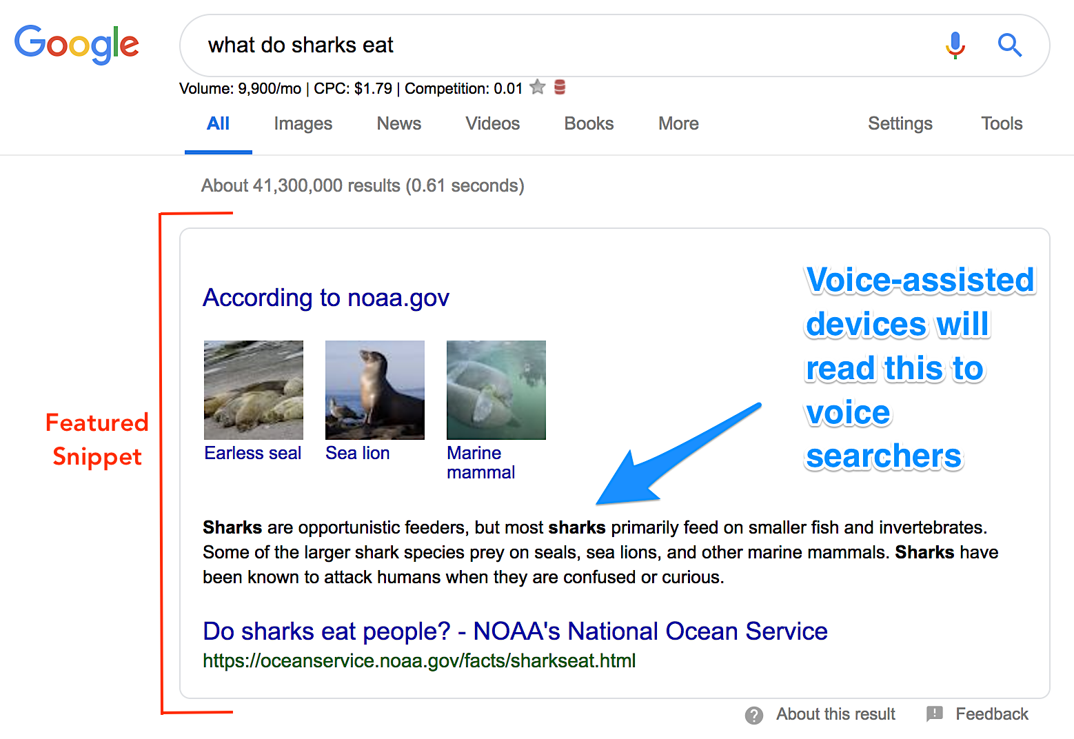 featured snippet example