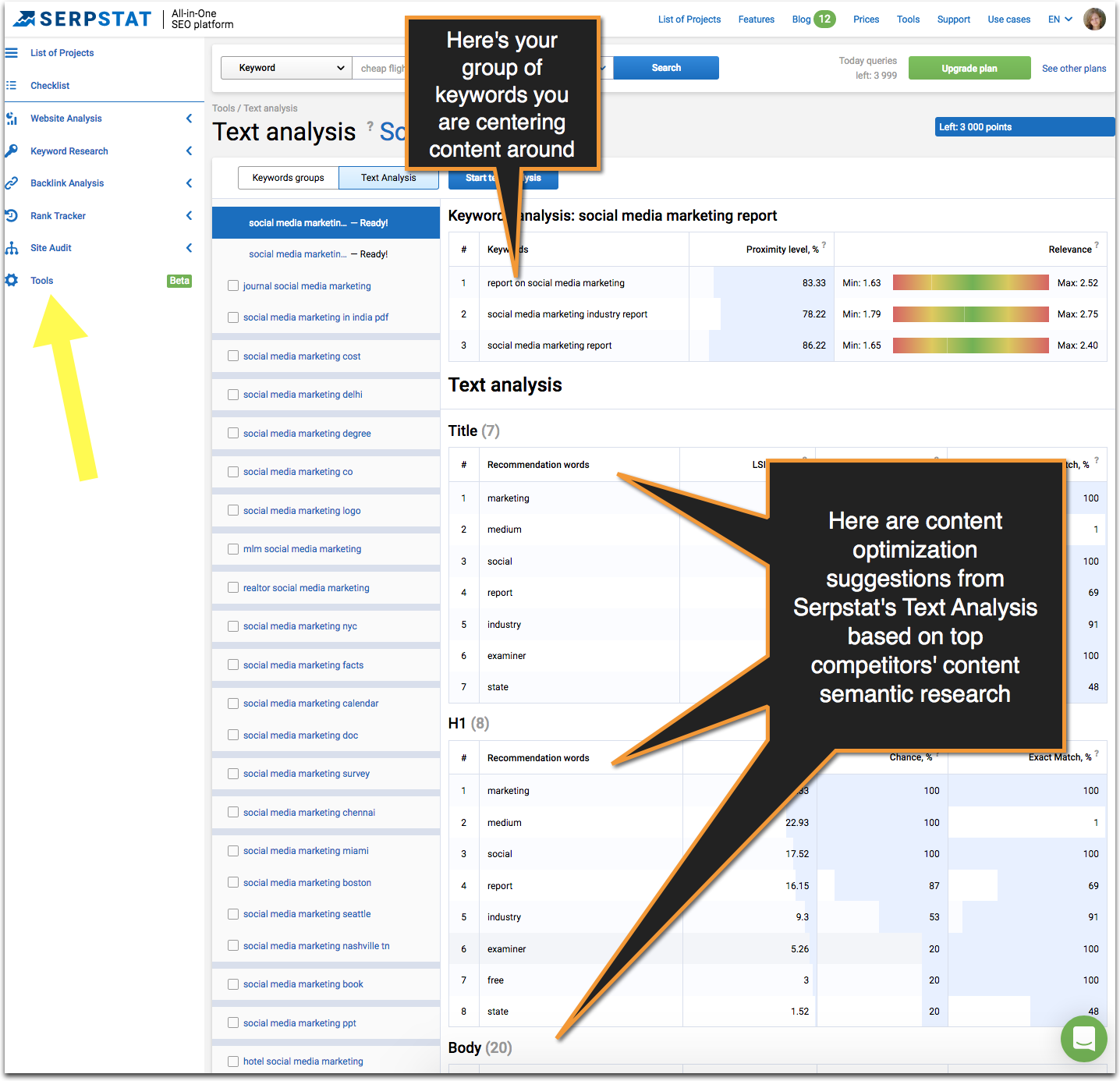 serpstat text analysis