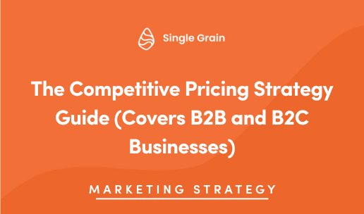 The Competitive Pricing Strategy Guide (Covers B2B and B2C Businesses)