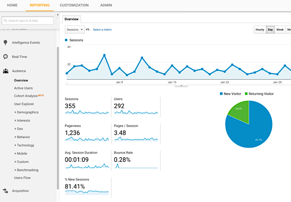 Google-Analtics-Website-Traffic