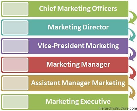 Marketing Department Corporate Hierarchy | Hierarchy Structure Marketing Department Hierarchy