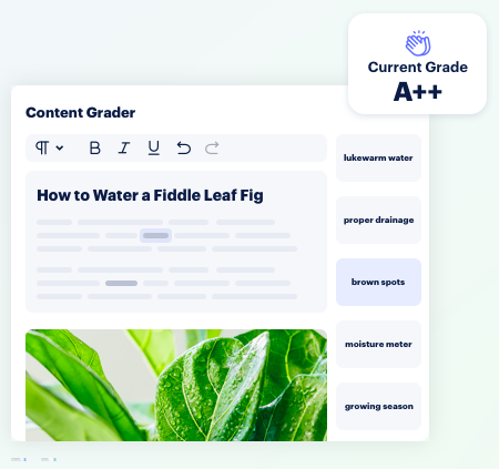 Topic Content Grader