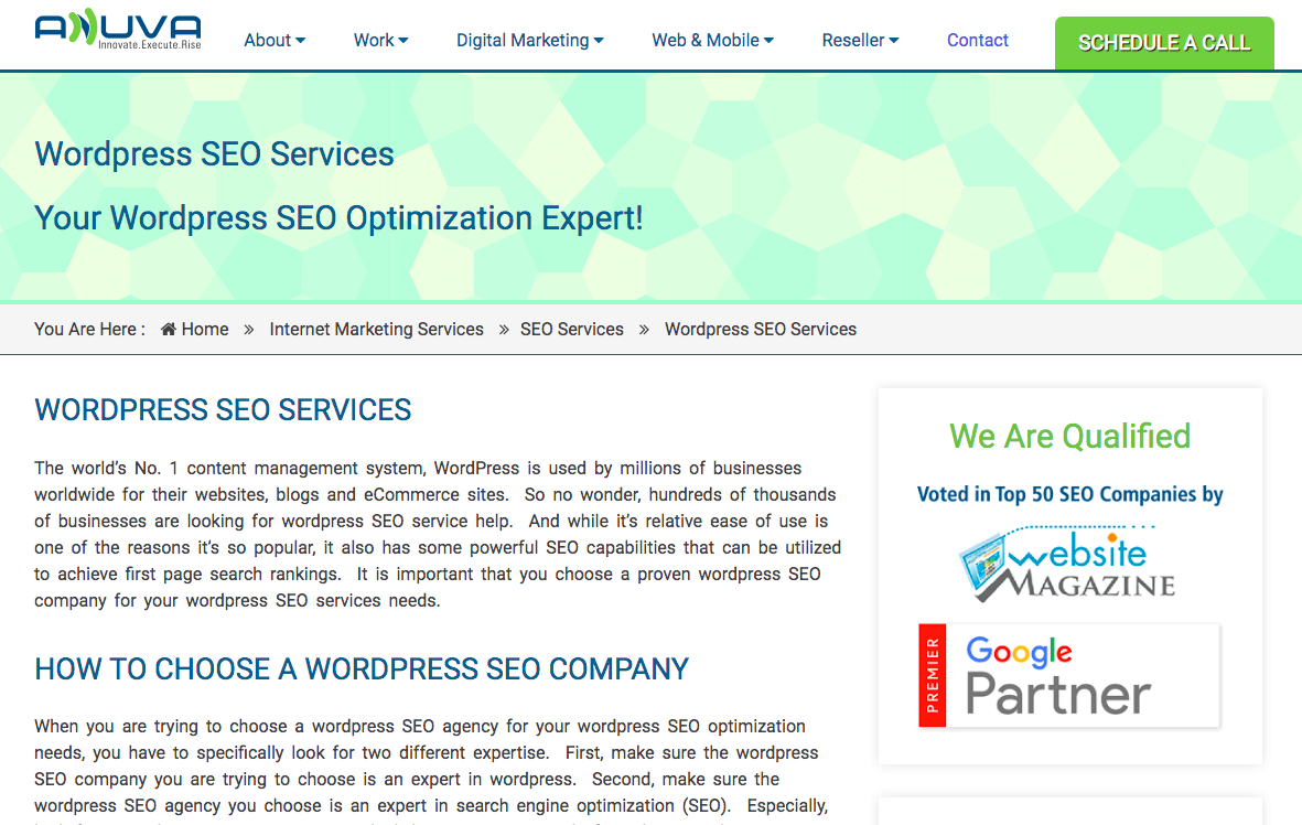 Anuva WordPress SEO Agency home page