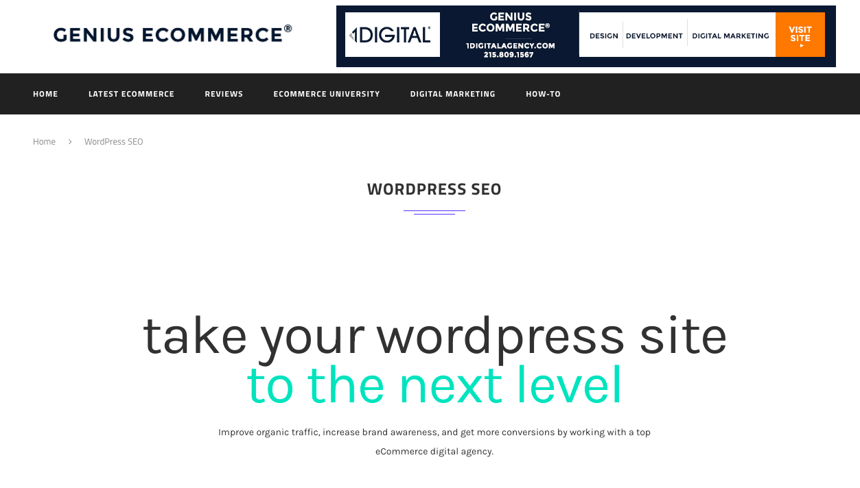 Genius Ecommerce Agency home page