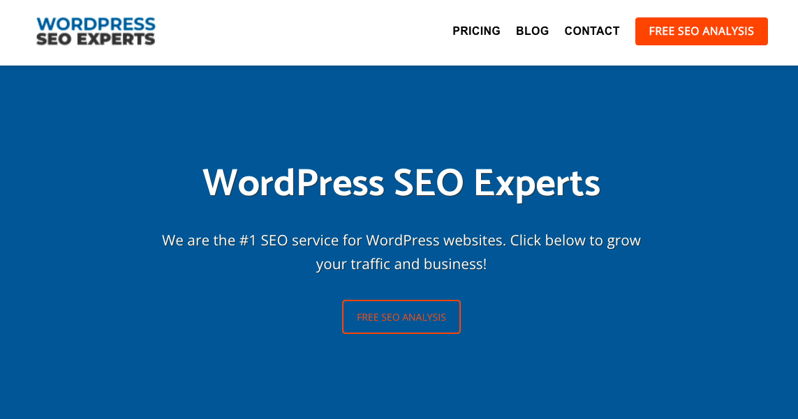 WordPress SEO Experts home page