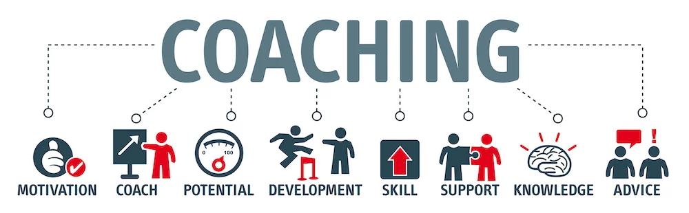 graphic of different parts of business coaching (motivation, development, advice)