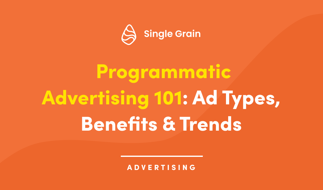 Programmatic Advertising 101: Ad Types, Benefits, Drawbacks & Trends