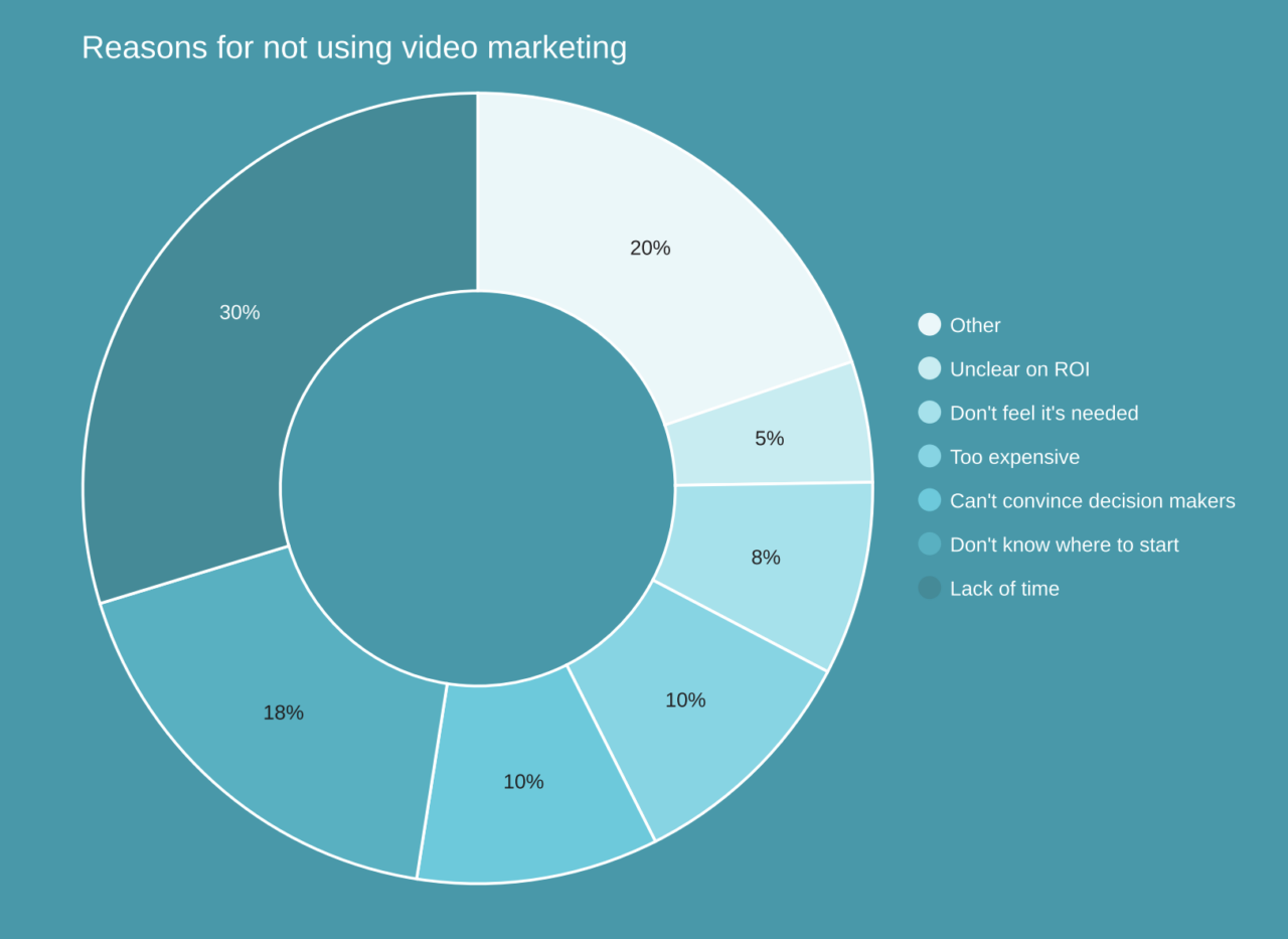 pie chart showing reasons for not using video marketing