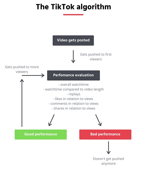 TikTok algorithm