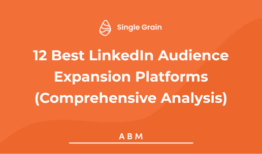 12 Best LinkedIn Audience Expansion Platforms