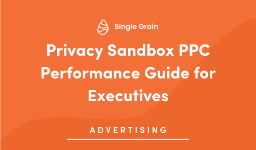 Privacy Sandbox PPC Performance Guide for Executives