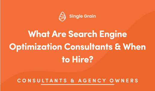 What Are Search Engine Optimization Consultants & When to Hire?