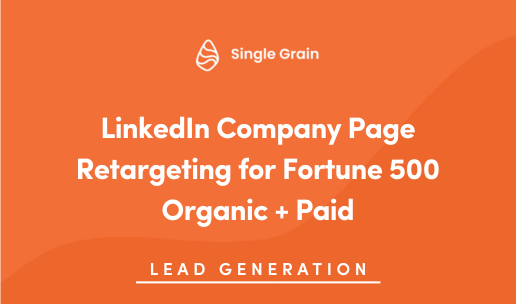 LinkedIn Company Page Retargeting for Fortune 500 Companies
