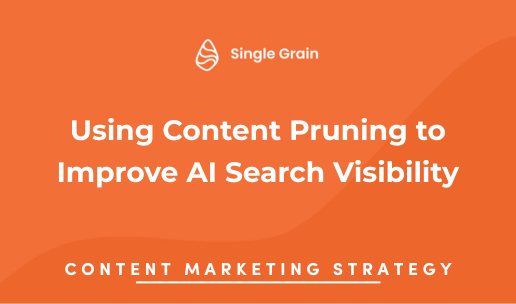 Using Content Pruning to Improve AI Search Visibility