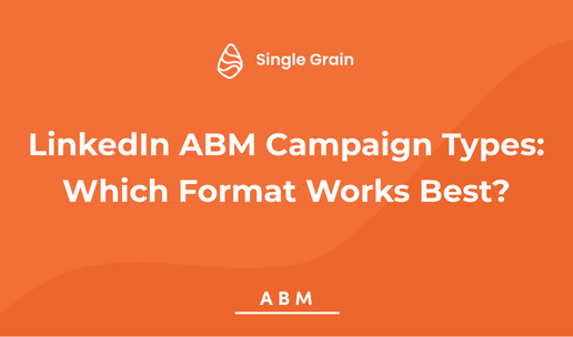 LinkedIn ABM Campaign Types: Which Format Works Best?