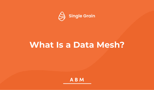 What Is a Data Mesh?