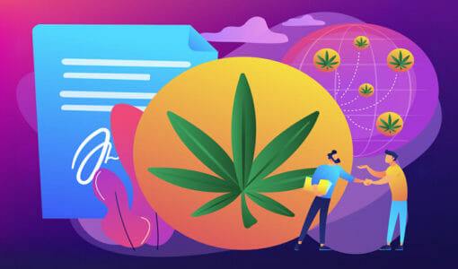 Creative Marketing Strategies: How to Market a Cannabis Company