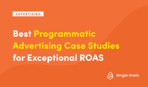 Best Programmatic Advertising Case Studies for Exceptional ROAS