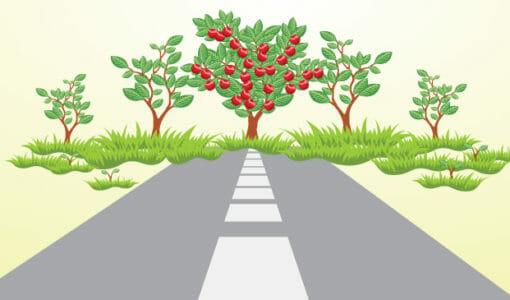 Outsourcing: The Passive Path to Growing Your Business